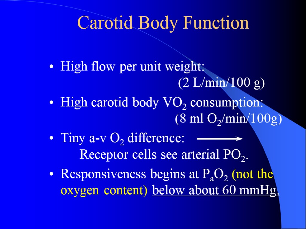 Carotid Body Function High flow per unit weight: (2 L/min/100 g) High carotid body